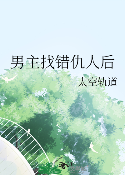 男主找错女主的小说