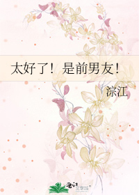 前男友太完美