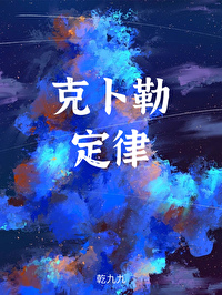 克卜勒定律小说TXT下载