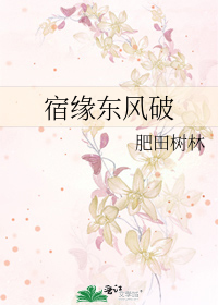 宿伞东风遥