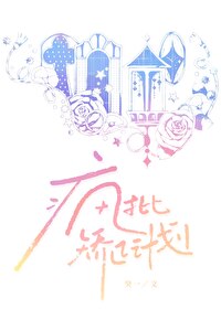 矫正帮扶计划