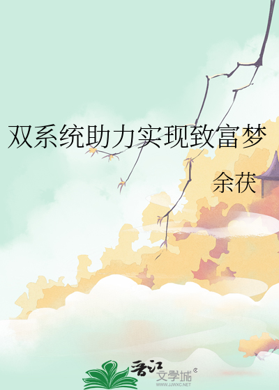 何为双系统