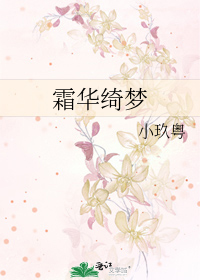 霜华小说