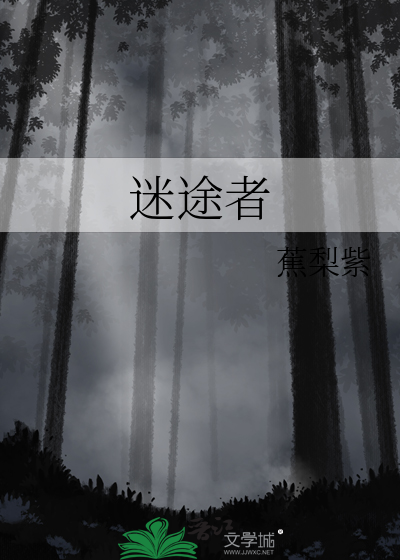 迷途者说书是什么比喻句