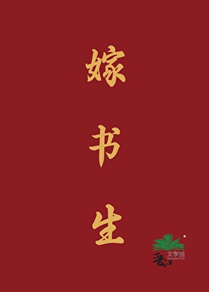 嫁书生