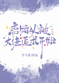 从离婚后开始的小说