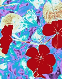 和前夫他哥搞纯爱