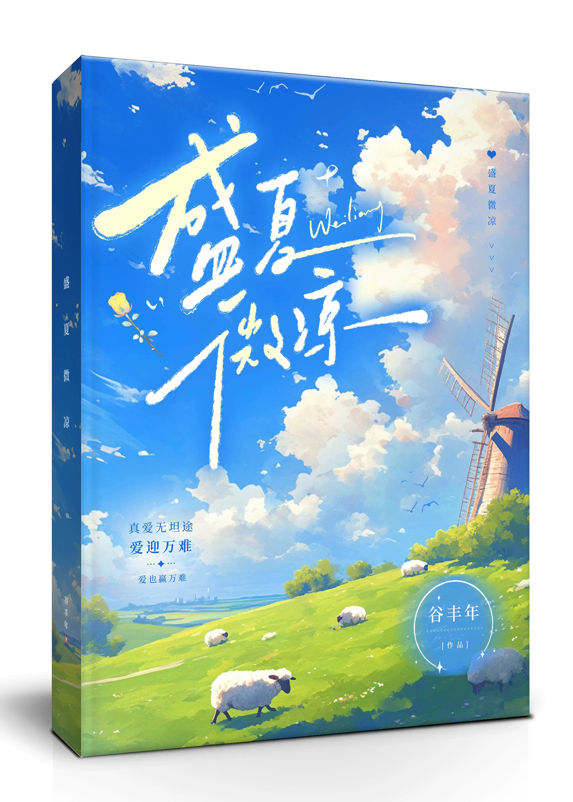 盛夏微凉作文