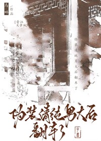 伪装清纯的小说