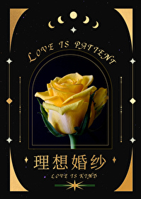 理想婚纱礼服高定管