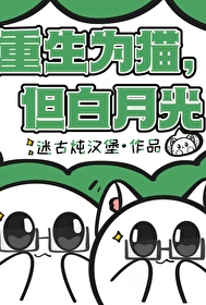 主角重生为猫的小说