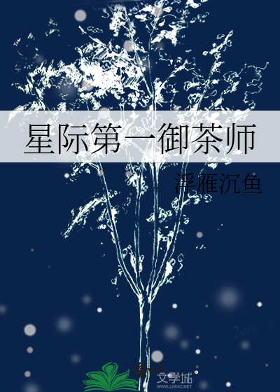 星际第一女神御厨驾到 小说