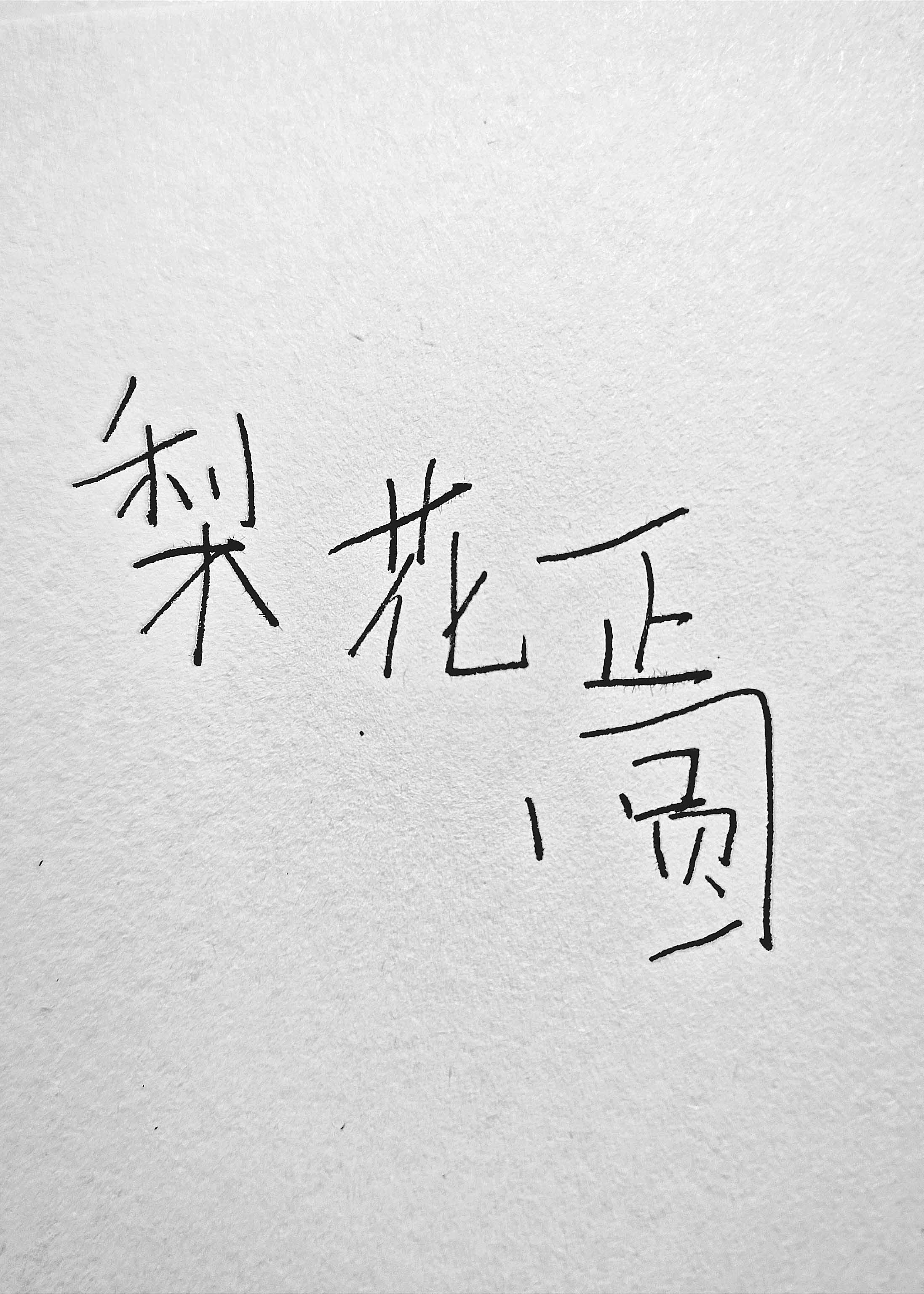 梨花正圆小说在线阅读