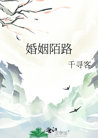 陌路婚姻忏悔录小说