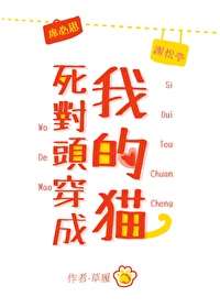 死对头穿成我的猫草履免费阅