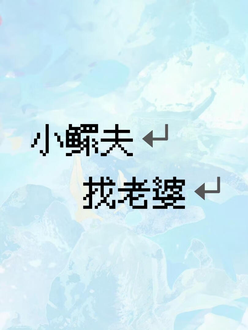 小寡夫招夫