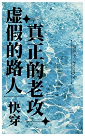 虚假的真相小说