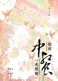 你对中餐一无所知怎么说