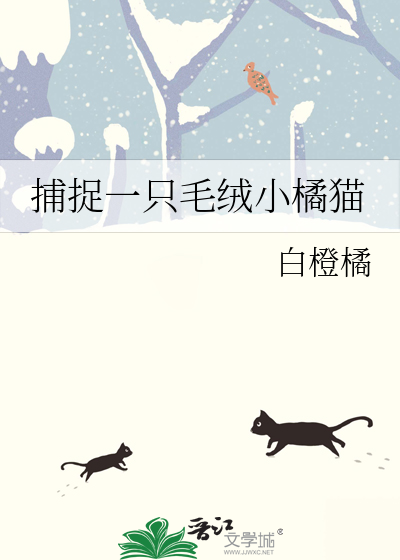 写小说的秘密
