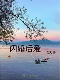 闪婚之后讲什么