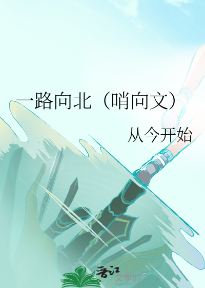 一路向北小说路向北