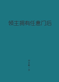 领主拥有任意门后怎么进