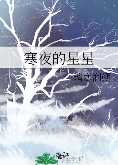 寒夜的星辰