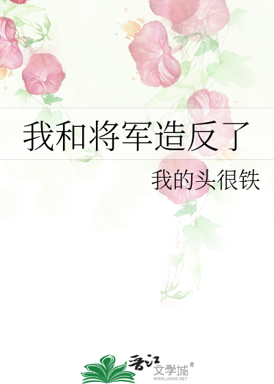 我与将军