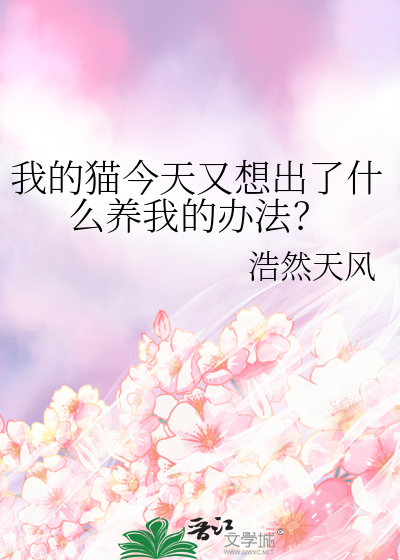 我的猫今年