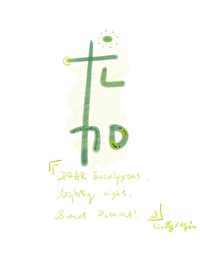 尤加利叶图片