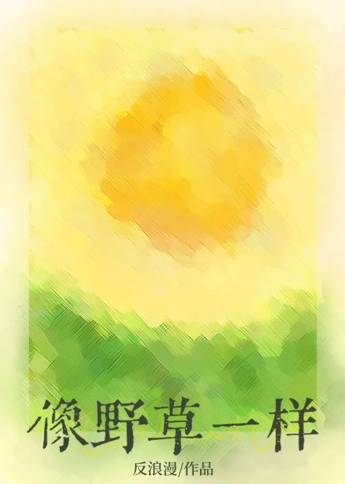 那年夏天小说