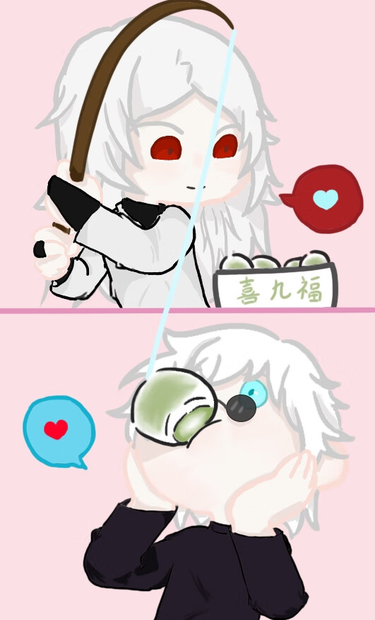 如何饲养苏格兰牧羊犬