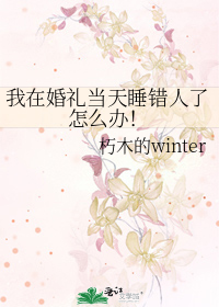 飞鸿祚雪免费
