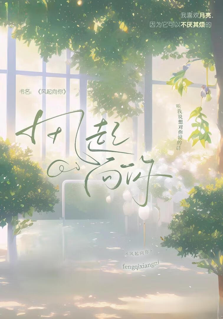 风起向你