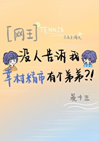 幸村精市是受的网王文