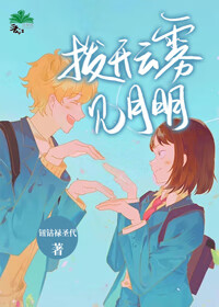 拨开云雾见明月