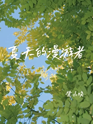 夏天的漫游者