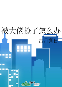 被大佬撩了怎么办