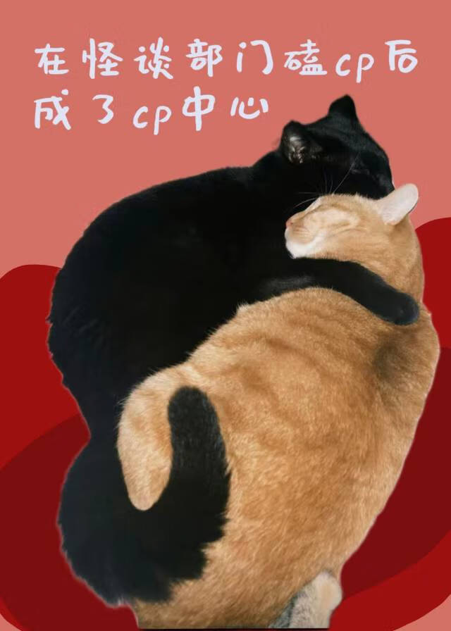 在怪谈部门磕cp后成了cp中心
