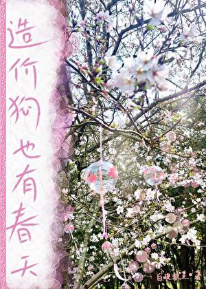 造价狗也会有春天