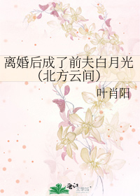 离婚后成了前夫白月光（北方云间）