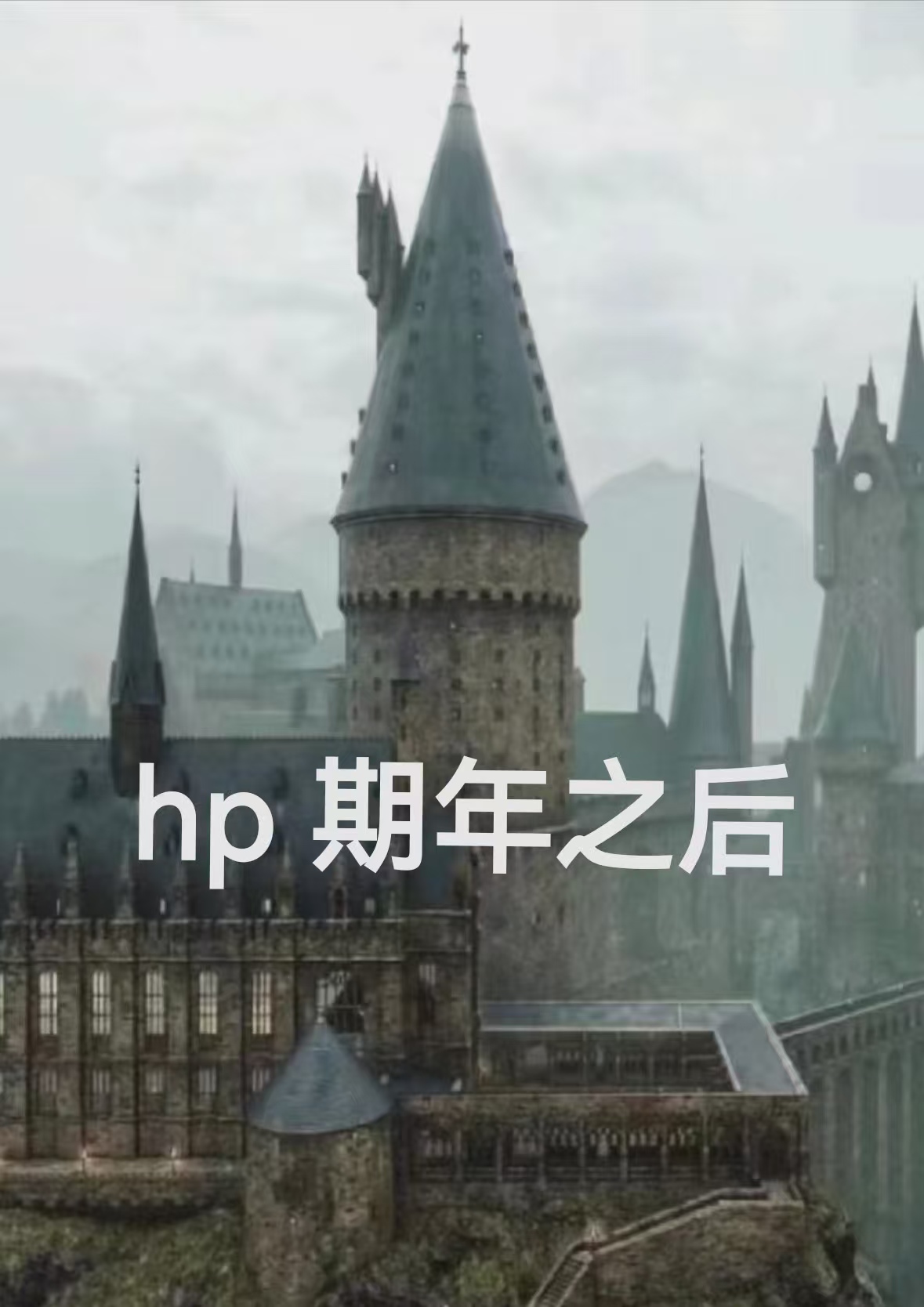 [HP]期年之后